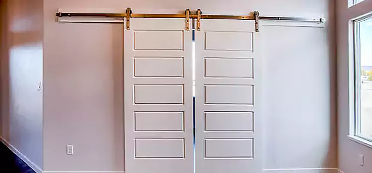 Glass Barn Door with Installation Hardware Kit Danvers