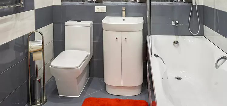 Hansgrohe Shaving Mirror Danvers